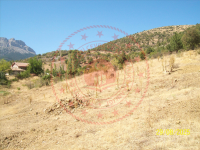 Konya Seydişehir Taraşçı Kasabası Milli Emlak'tan Satılık 628,21 m2 Arsa