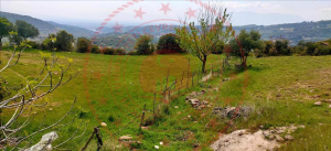 Manisa Saruhanlı Çaltepe Mahallesi Milli Emlak'tan Satılık 780,00 m2 Tarla