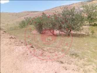 Kırıkkale Keskin Hacıömersolaklısı Köyü Milli Emlak'tan Satılık 588,09 m2 Tarla