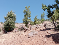 Malatya Hekimhan Dereköy Köyü Milli Emlak'tan Satılık 44,91 m2 Tarla