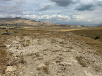 Van İpekyolu Çitli Milli Emlak'tan Satılık 7.206,79 m2 Tarla