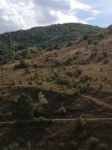 Gümüşhane Merkez Söğütağıl Köyü Milli Emlak'tan Satılık 7.683,00 m2 Tarla