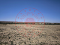 Ağrı Hamur Tükenmez Köyü Milli Emlak'tan Satılık 6.529,74 m2 Tarla