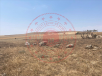 Ankara Polatlı Yıldızlı Köyü Milli Emlak'tan Satılık 11.279,30 m2 Tarla