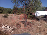 Kastamonu Taşköprü Hacıali Köyü Milli Emlak'tan Satılık 1.000,00 m2 Tarla