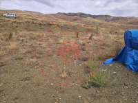 Erzincan Otlukbeli Boğazlı Köyü Milli Emlak'tan Satılık 1.000,16 m2 Tarla