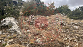 Konya Beyşehir Üzümlü Kasabası Milli Emlak'tan Satılık 306,37 m2 Arsa