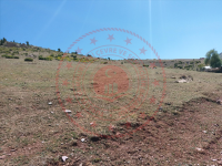 Konya Bozkır Sorkun - Çarşamba Mahallesi Milli Emlak'tan Satılık 594,28 m2 Arsa