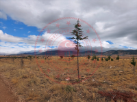 Konya Hüyük Köşk Kasabası Milli Emlak'tan Satılık 733,02 m2 Arsa