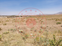 Konya Yunak Sıram Köyü Milli Emlak'tan Satılık 2.999,59 m2 Tarla