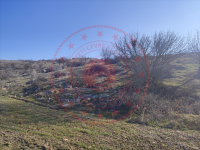 Amasya Merkez Meşeliçiftliği Köyü Milli Emlak'tan Satılık 4.655,46 m2 Tarla