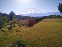 Aydın Kuşadası Caferli Milli Emlak'tan Satılık 2.691,11 m2 Tarla