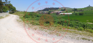 Balıkesir Kepsut Hotaşlar Köyü Milli Emlak'tan Satılık 5.406,21 m2 Tarla