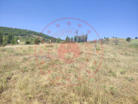 Amasya Merkez Yassıçal - Erkonaş Mahallesi Milli Emlak'tan Satılık 2.660,32 m2 Tarla