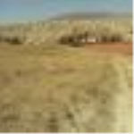 Çorum Merkez Karapürçek Köyü Milli Emlak'tan Satılık 1.787,46 m2 Tarla