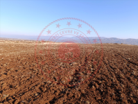 Bingöl Merkez Kıran Köyü Milli Emlak'tan Satılık 8.070,90 m2 Tarla