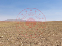 Konya Yunak Cebrail Köyü Milli Emlak'tan Satılık 3.000,00 m2 Tarla