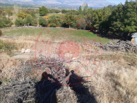 Erzincan Merkez Kılıçkaya Köyü Milli Emlak'tan Satılık 2.269,81 m2 Tarla