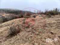 Bolu Yeniçağa Kındıra Köyü Milli Emlak'tan Satılık 5.671,56 m2 Tarla