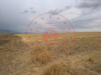 Van İpekyolu Yukarıgüneyce Milli Emlak'tan Satılık 514,64 m2 Tarla