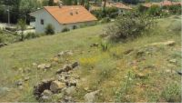 Afyonkarahisar Şuhut Balçıkhisar - Yeni Mahallesi Milli Emlak'tan Satılık 1.105,26 m2 Tarla