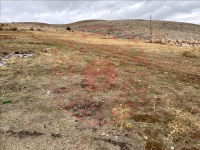 Afyonkarahisar Dinar Karabedir Köyü Milli Emlak'tan Satılık 732,67 m2 Tarla