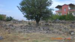 Aksaray Merkez Karaören Köyü Milli Emlak'tan Satılık 323,41 m2 Tarla