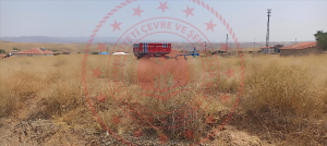 Kırıkkale Delice Halitli Köyü Milli Emlak'tan Satılık 1.584,59 m2 Tarla