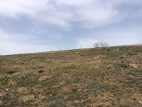 Kırşehir Merkez T. İlyas - Yayla Köyü Milli Emlak'tan Satılık 639,99 m2 Arsa