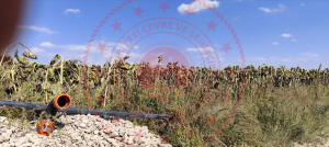 Konya Meram Kavak Köyü Milli Emlak'tan Satılık 7.000,00 m2 Arsa