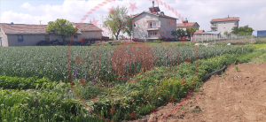 Konya Karatay Saraçoğlu Mahallesi Milli Emlak'tan Satılık 595,51 m2 Tarla