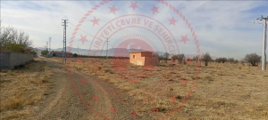 Konya Sarayönü Konar Köyü Milli Emlak'tan Satılık 515,00 m2 Tarla