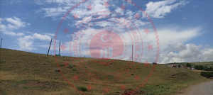 Kırıkkale Delice Kurtoğlu Köyü Milli Emlak'tan Satılık 1.141,13 m2 Tarla