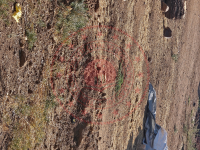 Kırşehir Merkez Sıdıklı - Büyükoba Köyü Milli Emlak'tan Satılık 752,40 m2 Tarla