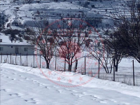 Kayseri Talas Akçakaya Mahallesi Milli Emlak'tan Satılık 750,00 m2 Tarla