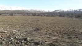 Erzincan Merkez Yeşilçay Köyü Milli Emlak'tan Satılık 6.556,29 m2 Tarla