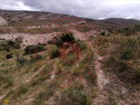 Kayseri Akkışla Ortaköy Mahallesi Milli Emlak'tan Satılık 1.013,63 m2 Tarla