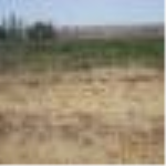 Aksaray Merkez Altınkaya - Merkez Mahallesi Milli Emlak'tan Satılık 1.050,00 m2 Arsa