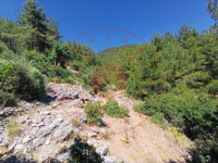 Muğla Menteşe Yaraş Köyü Milli Emlak'tan Satılık 482,92 m2 Arsa