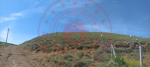 Kırıkkale Delice Halitli Köyü Milli Emlak'tan Satılık 1.077,51 m2 Tarla