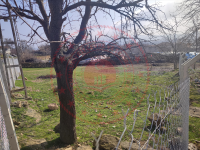 Amasya Merkez Kayabaşı Köyü Milli Emlak'tan Satılık 410,56 m2 Tarla