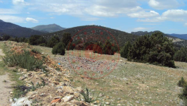 Afyonkarahisar Emirdağ Tez Köyü Milli Emlak'tan Satılık 6.338,94 m2 Tarla