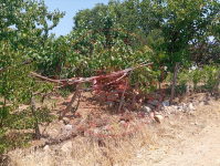 Kırıkkale Keskin Kaçakköy Köyü Milli Emlak'tan Satılık 550,00 m2 Tarla