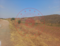 Kırıkkale Sulakyurt Danacı Köyü Milli Emlak'tan Satılık 1.769,00 m2 Tarla