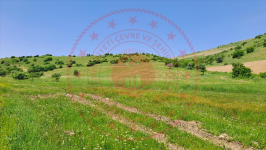Erzincan Tercan Kemerçam Köyü Milli Emlak'tan Satılık 20.004,04 m2 Tarla