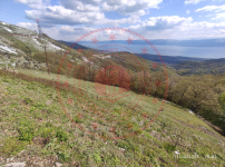 Bursa Orhangazi Mahmudiye Mahallesi Milli Emlak'tan Satılık 619,89 m2 Tarla