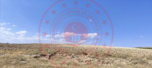 Konya Meram Kavak Köyü Milli Emlak'tan Satılık 5.014,45 m2 Arsa