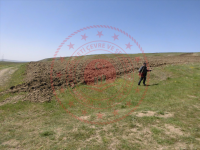 Yozgat Merkez Kuyumcu Köyü Milli Emlak'tan Satılık 1.477,90 m2 Tarla