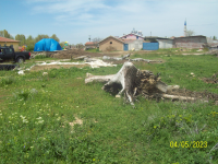 Konya Sarayönü Değirmenli Köyü Milli Emlak'tan Satılık 1.015,00 m2 Tarla