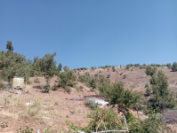 Malatya Hekimhan Dereköy Köyü Milli Emlak'tan Satılık 1.040,67 m2 Tarla